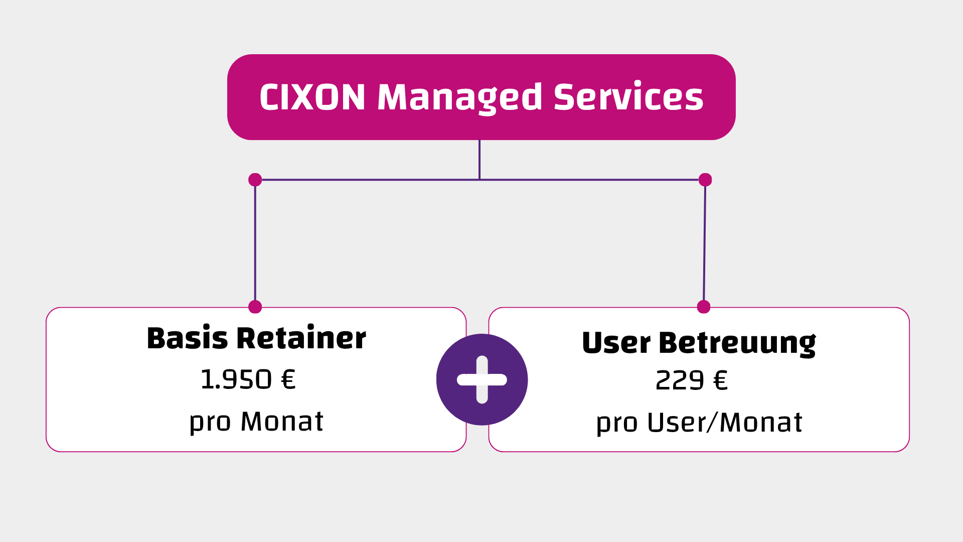 CIXON Managed Services Preismodell