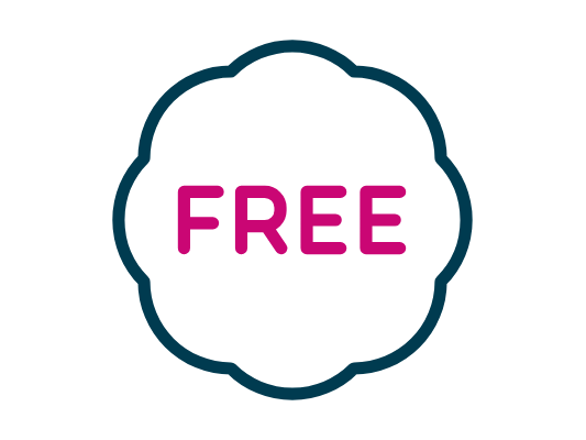 SoFin: The Free Theme for Software and FinTech Success